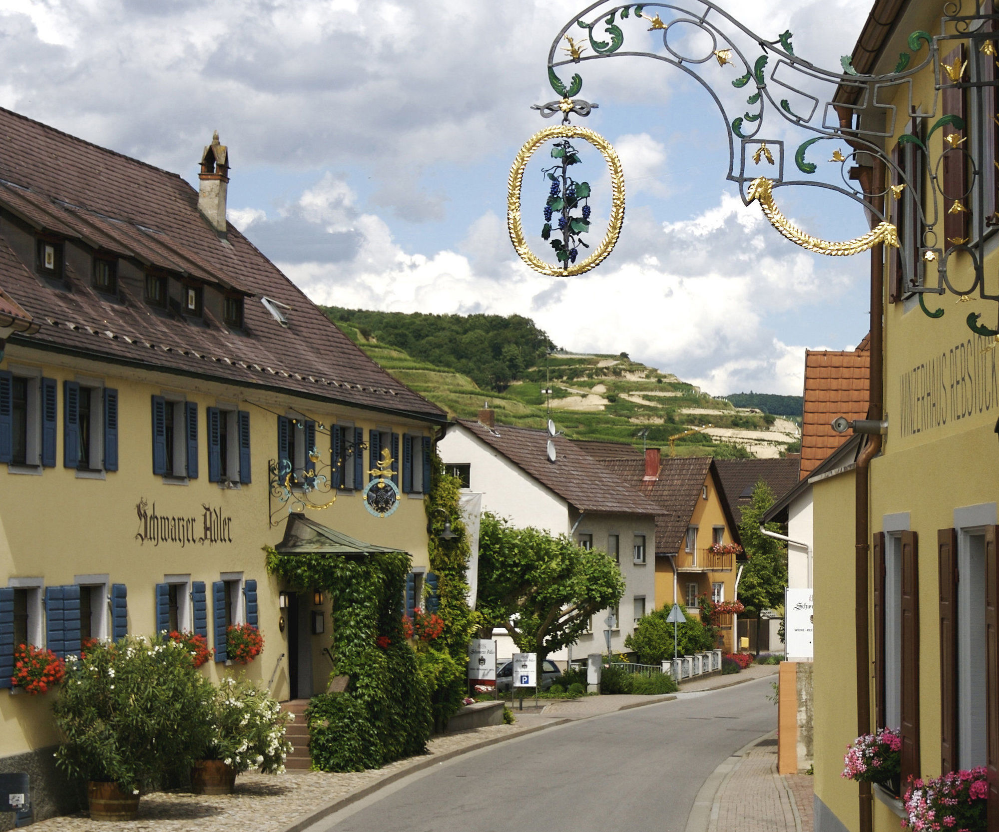 Schwarzer Adler Hotel Vogtsburg Eksteriør billede