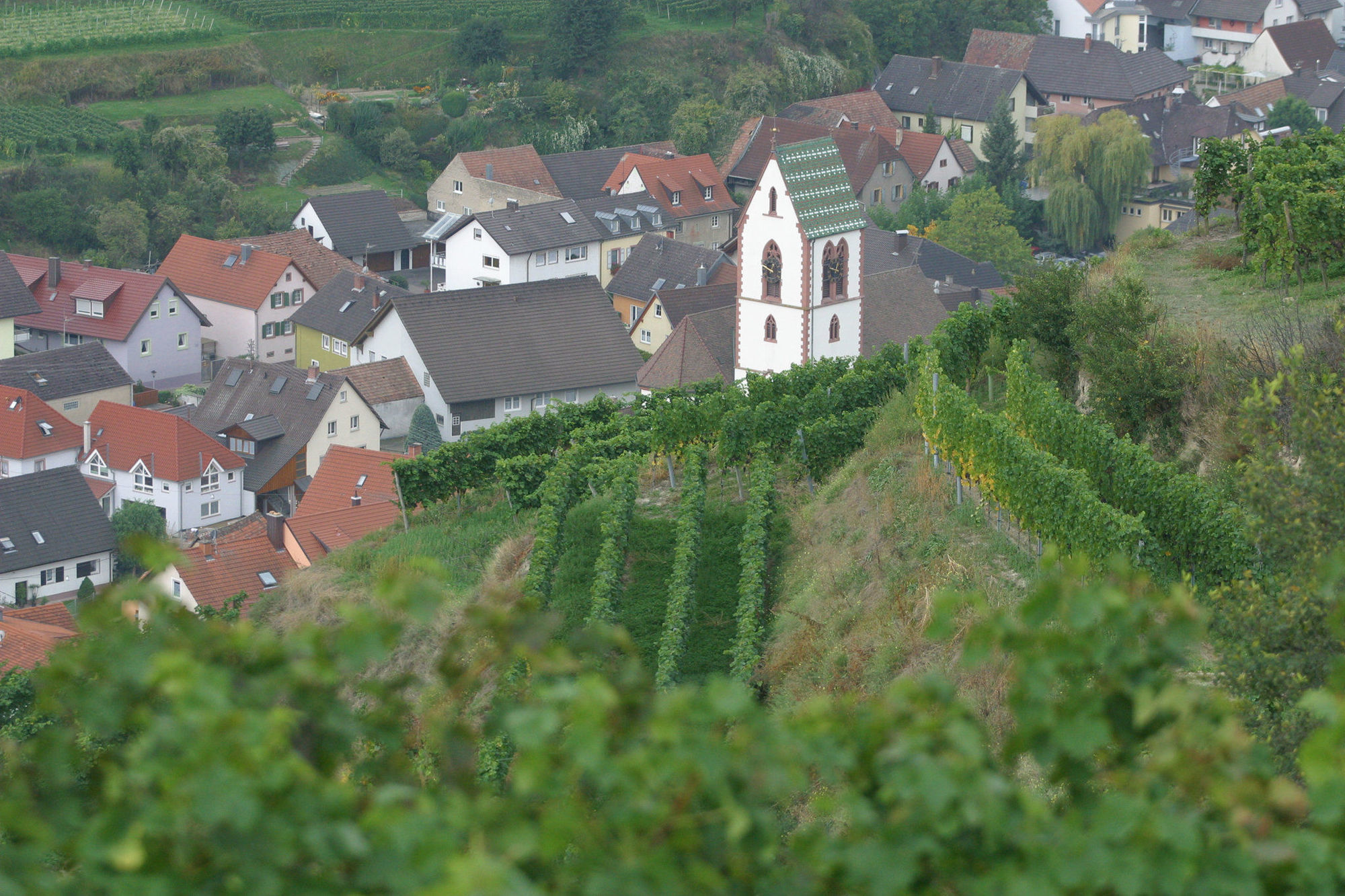Schwarzer Adler Hotel Vogtsburg Eksteriør billede